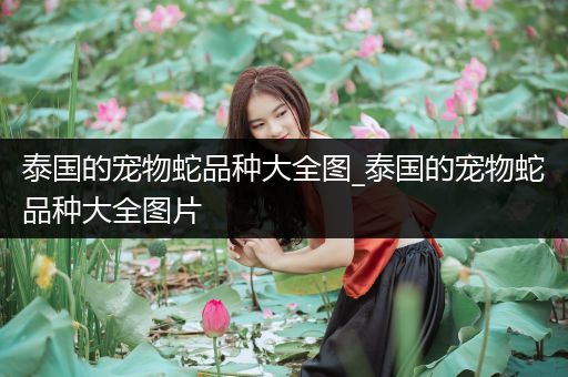 泰国的宠物蛇品种大全图_泰国的宠物蛇品种大全图片