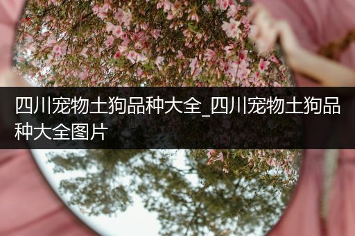 四川宠物土狗品种大全_四川宠物土狗品种大全图片