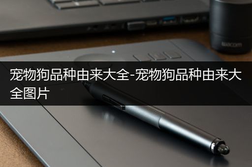 宠物狗品种由来大全-宠物狗品种由来大全图片