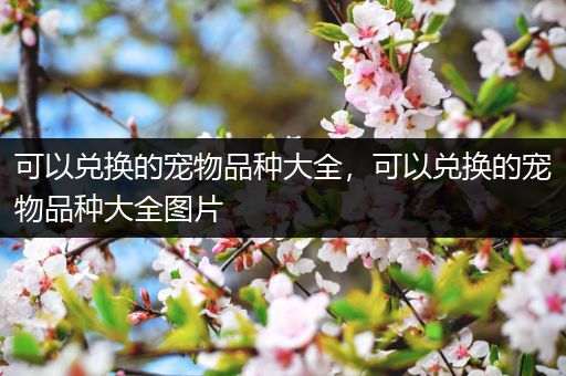 可以兑换的宠物品种大全，可以兑换的宠物品种大全图片