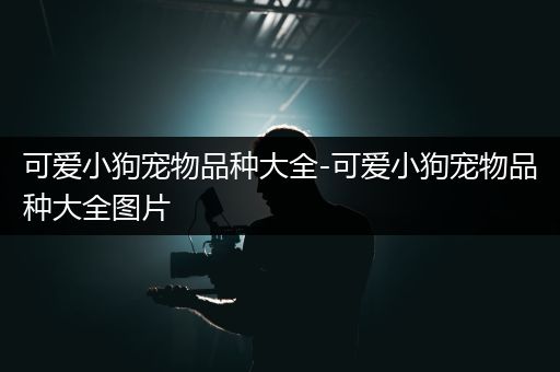 可爱小狗宠物品种大全-可爱小狗宠物品种大全图片