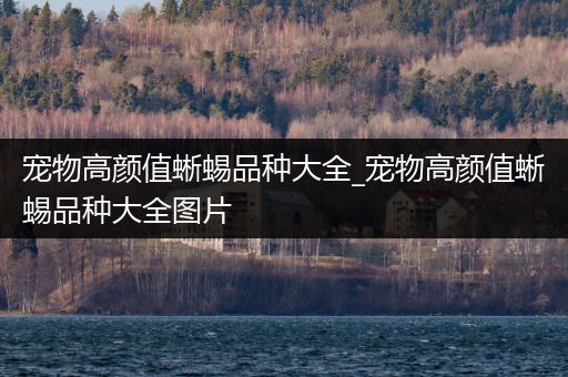 宠物高颜值蜥蜴品种大全_宠物高颜值蜥蜴品种大全图片