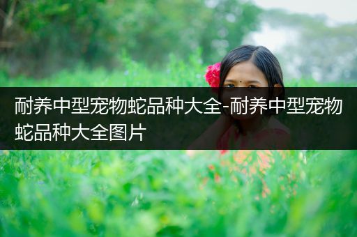 耐养中型宠物蛇品种大全-耐养中型宠物蛇品种大全图片