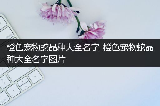 橙色宠物蛇品种大全名字_橙色宠物蛇品种大全名字图片