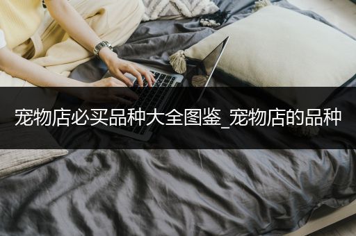 宠物店必买品种大全图鉴_宠物店的品种