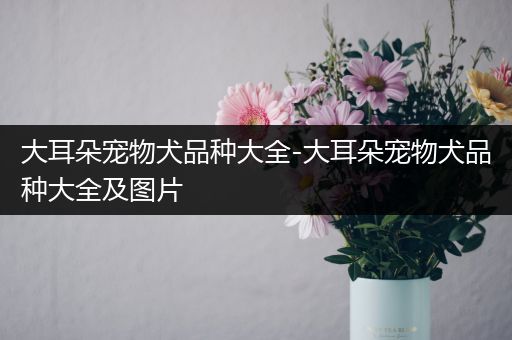 大耳朵宠物犬品种大全-大耳朵宠物犬品种大全及图片