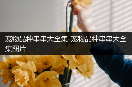 宠物品种串串大全集-宠物品种串串大全集图片