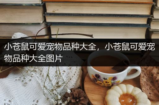 小苍鼠可爱宠物品种大全，小苍鼠可爱宠物品种大全图片