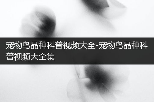宠物鸟品种科普视频大全-宠物鸟品种科普视频大全集
