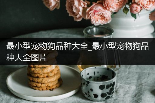 最小型宠物狗品种大全_最小型宠物狗品种大全图片