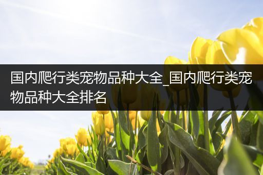 国内爬行类宠物品种大全_国内爬行类宠物品种大全排名