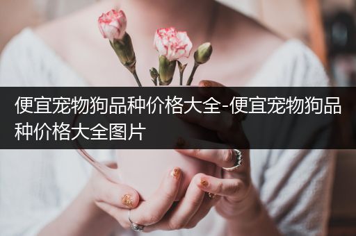 便宜宠物狗品种价格大全-便宜宠物狗品种价格大全图片