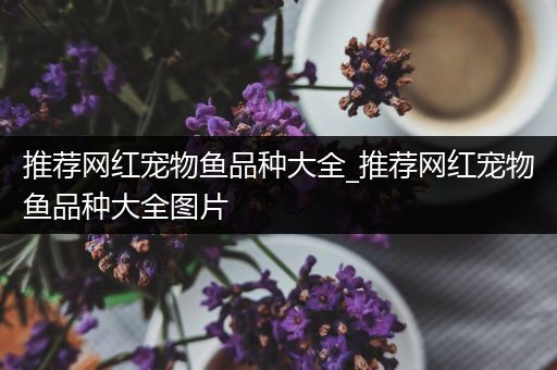 推荐网红宠物鱼品种大全_推荐网红宠物鱼品种大全图片