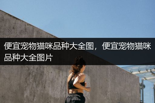 便宜宠物猫咪品种大全图，便宜宠物猫咪品种大全图片