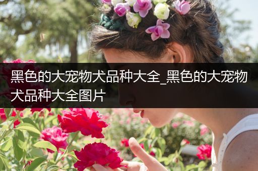 黑色的大宠物犬品种大全_黑色的大宠物犬品种大全图片