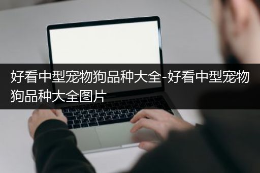 好看中型宠物狗品种大全-好看中型宠物狗品种大全图片