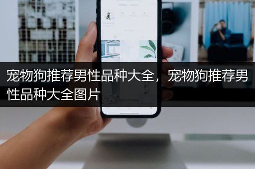 宠物狗推荐男性品种大全，宠物狗推荐男性品种大全图片