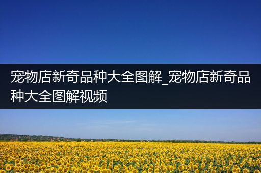 宠物店新奇品种大全图解_宠物店新奇品种大全图解视频