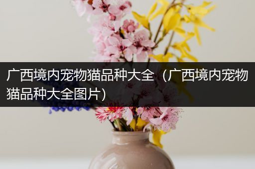 广西境内宠物猫品种大全（广西境内宠物猫品种大全图片）