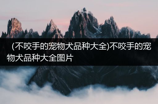 （不咬手的宠物犬品种大全)不咬手的宠物犬品种大全图片