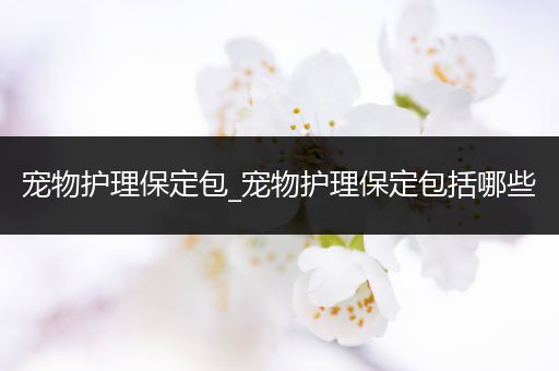 宠物护理保定包_宠物护理保定包括哪些