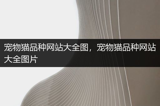 宠物猫品种网站大全图，宠物猫品种网站大全图片