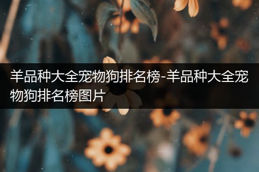 羊品种大全宠物狗排名榜-羊品种大全宠物狗排名榜图片