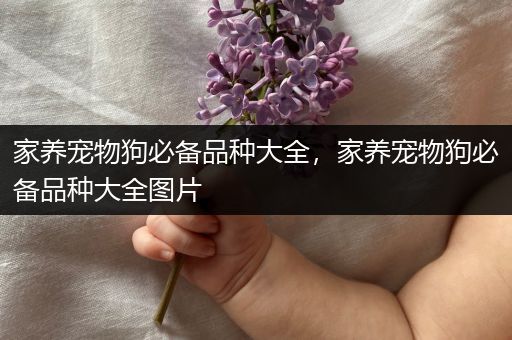 家养宠物狗必备品种大全，家养宠物狗必备品种大全图片