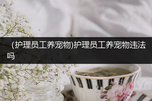 （护理员工养宠物)护理员工养宠物违法吗