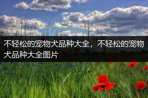 不轻松的宠物犬品种大全，不轻松的宠物犬品种大全图片