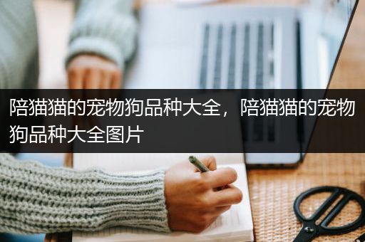 陪猫猫的宠物狗品种大全，陪猫猫的宠物狗品种大全图片