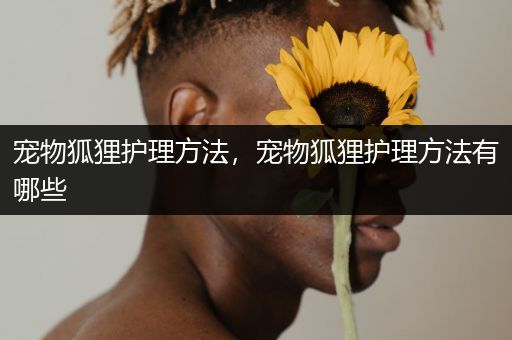 宠物狐狸护理方法，宠物狐狸护理方法有哪些