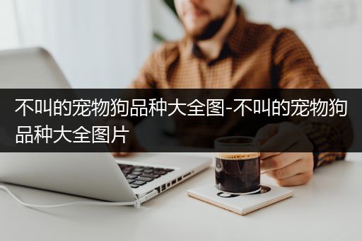 不叫的宠物狗品种大全图-不叫的宠物狗品种大全图片