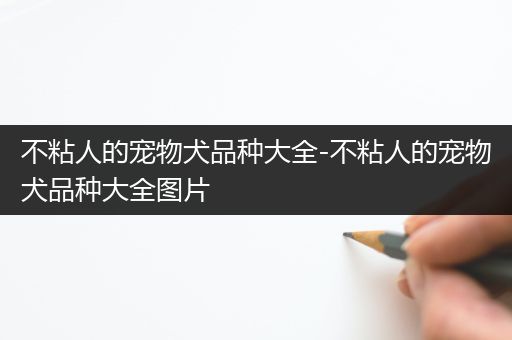 不粘人的宠物犬品种大全-不粘人的宠物犬品种大全图片
