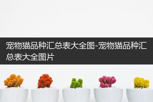 宠物猫品种汇总表大全图-宠物猫品种汇总表大全图片