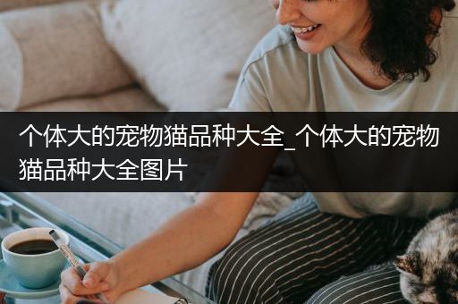 个体大的宠物猫品种大全_个体大的宠物猫品种大全图片