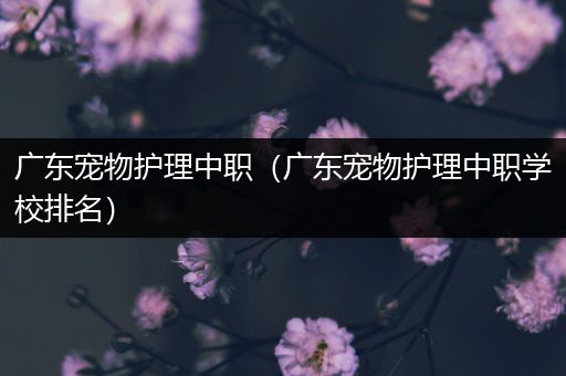 广东宠物护理中职（广东宠物护理中职学校排名）