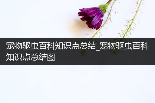 宠物驱虫百科知识点总结_宠物驱虫百科知识点总结图