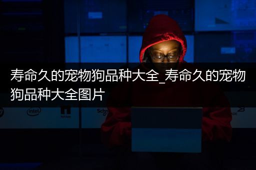 寿命久的宠物狗品种大全_寿命久的宠物狗品种大全图片
