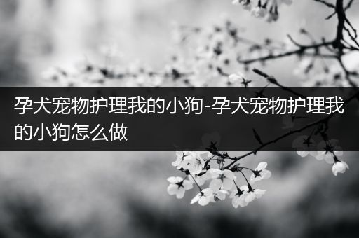 孕犬宠物护理我的小狗-孕犬宠物护理我的小狗怎么做