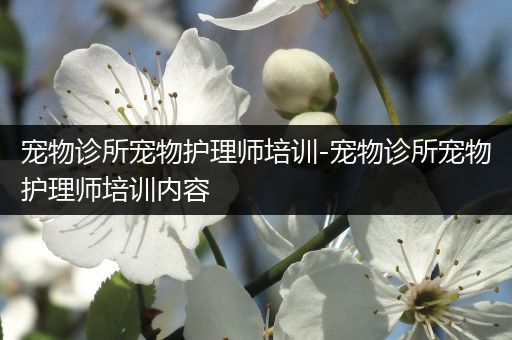 宠物诊所宠物护理师培训-宠物诊所宠物护理师培训内容