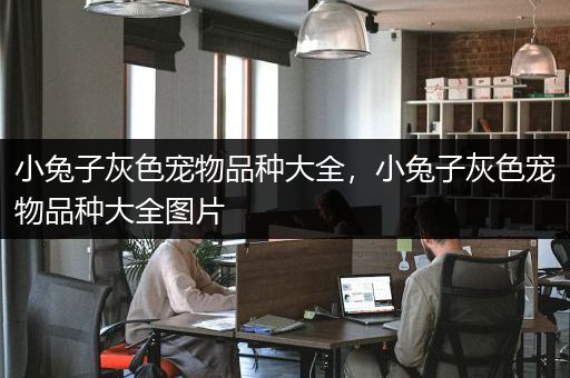 小兔子灰色宠物品种大全，小兔子灰色宠物品种大全图片