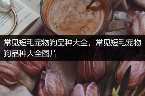 常见短毛宠物狗品种大全，常见短毛宠物狗品种大全图片