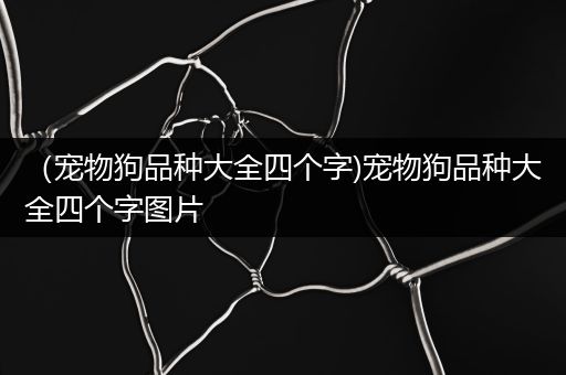 （宠物狗品种大全四个字)宠物狗品种大全四个字图片