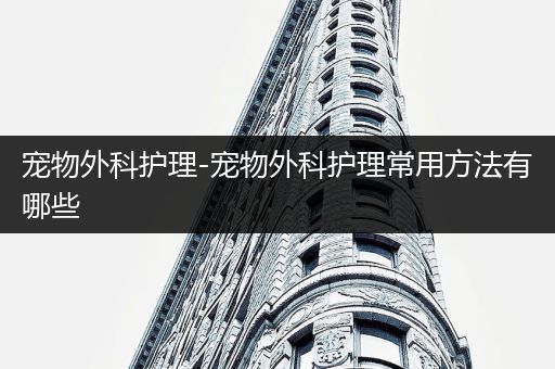 宠物外科护理-宠物外科护理常用方法有哪些