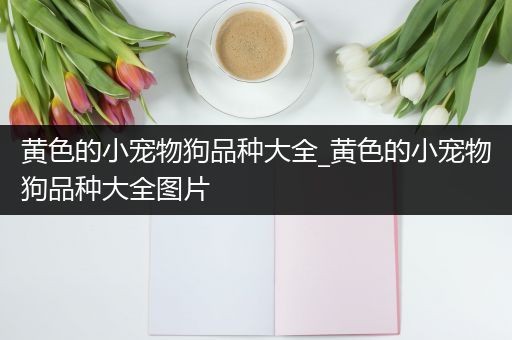 黄色的小宠物狗品种大全_黄色的小宠物狗品种大全图片