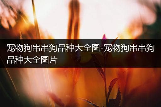 宠物狗串串狗品种大全图-宠物狗串串狗品种大全图片