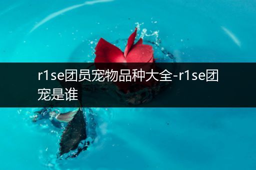 r1se团员宠物品种大全-r1se团宠是谁