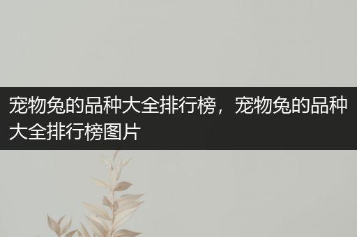 宠物兔的品种大全排行榜，宠物兔的品种大全排行榜图片