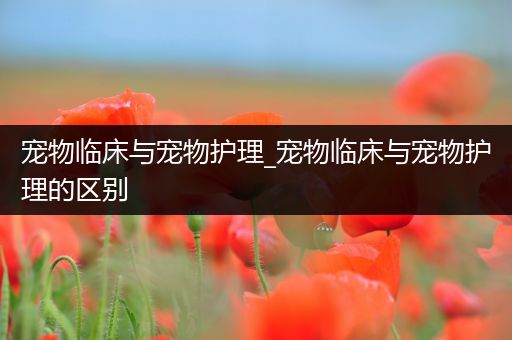 宠物临床与宠物护理_宠物临床与宠物护理的区别